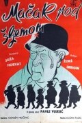 Постер видео