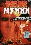 Постер видео