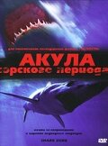 Постер видео