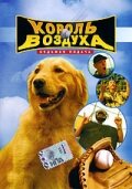 Постер видео
